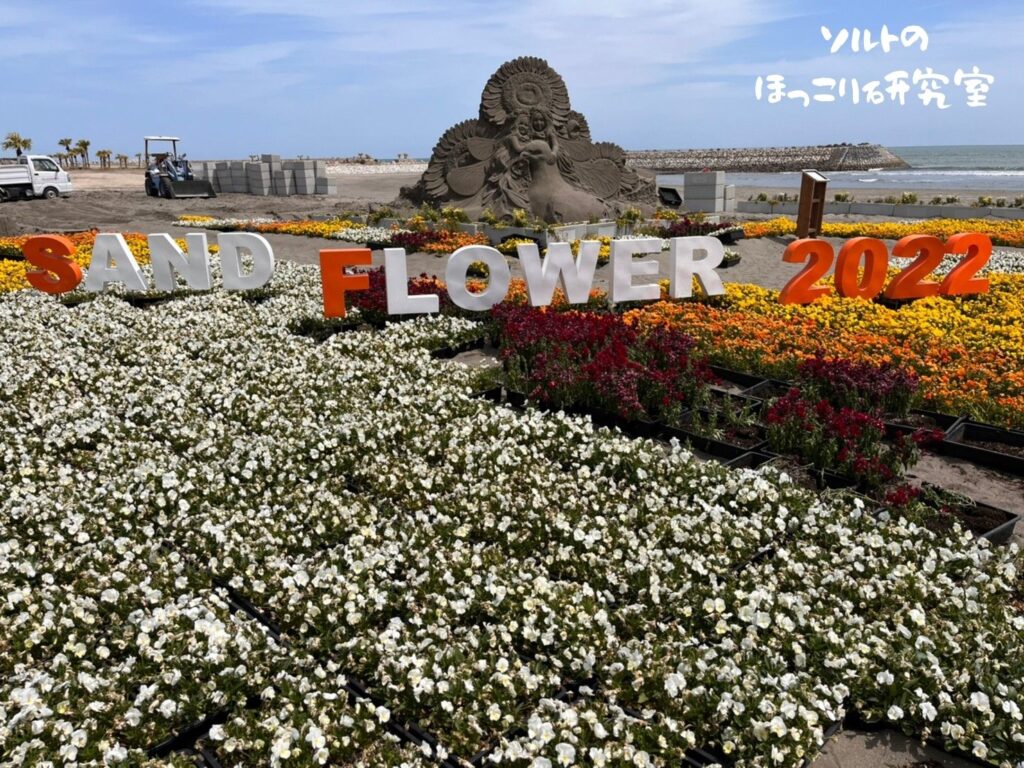 SAND FLOWER 2022というイベントがビーチで行われており、砂の彫刻の周りに、白・黄色・オレンジの花が植えられている様子。