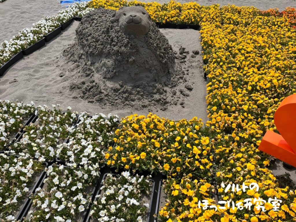 SAND FLOWER 2022のイベントに飾られている羊の形をした砂の彫刻と、それを囲む白と黄色の花の写真。