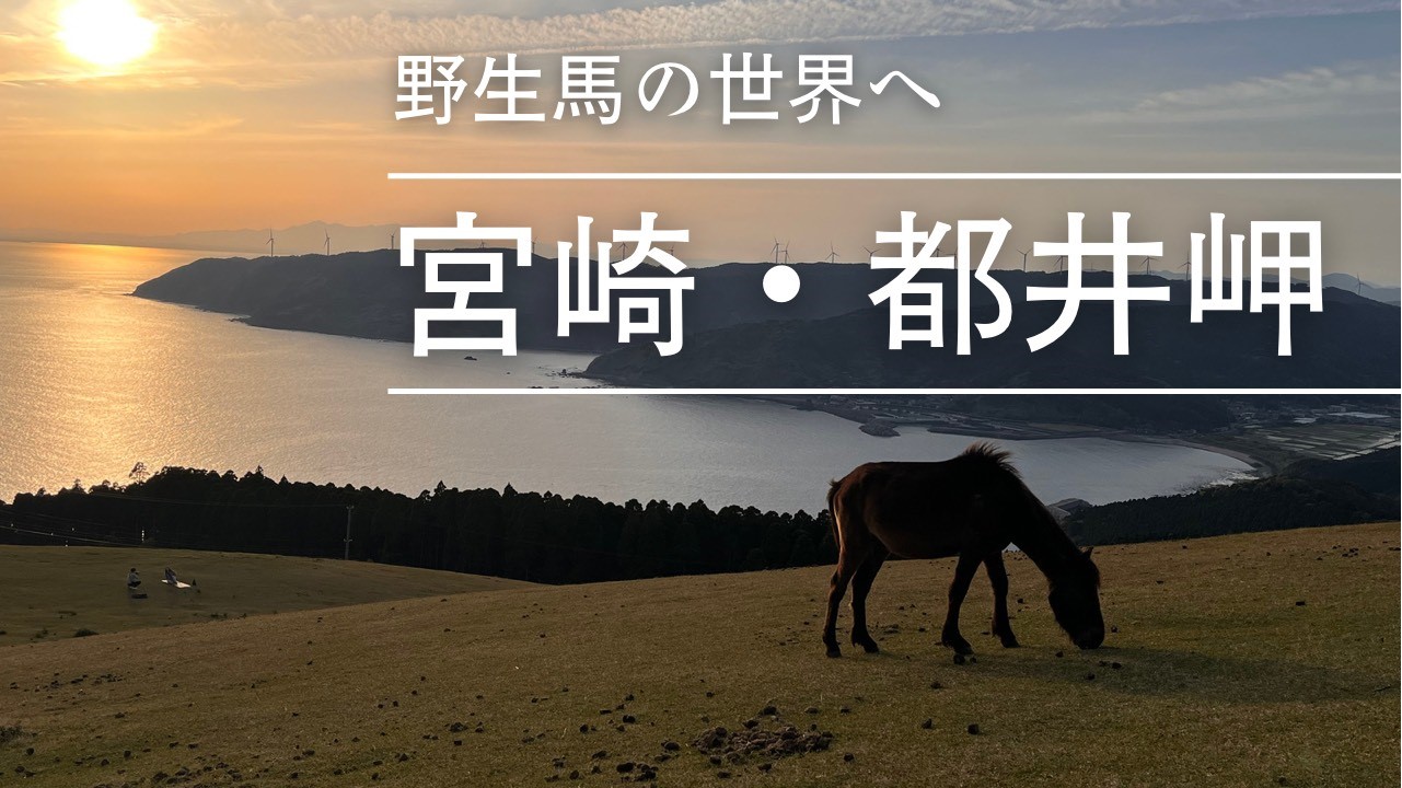 都井岬の御崎馬を紹介するブログ記事